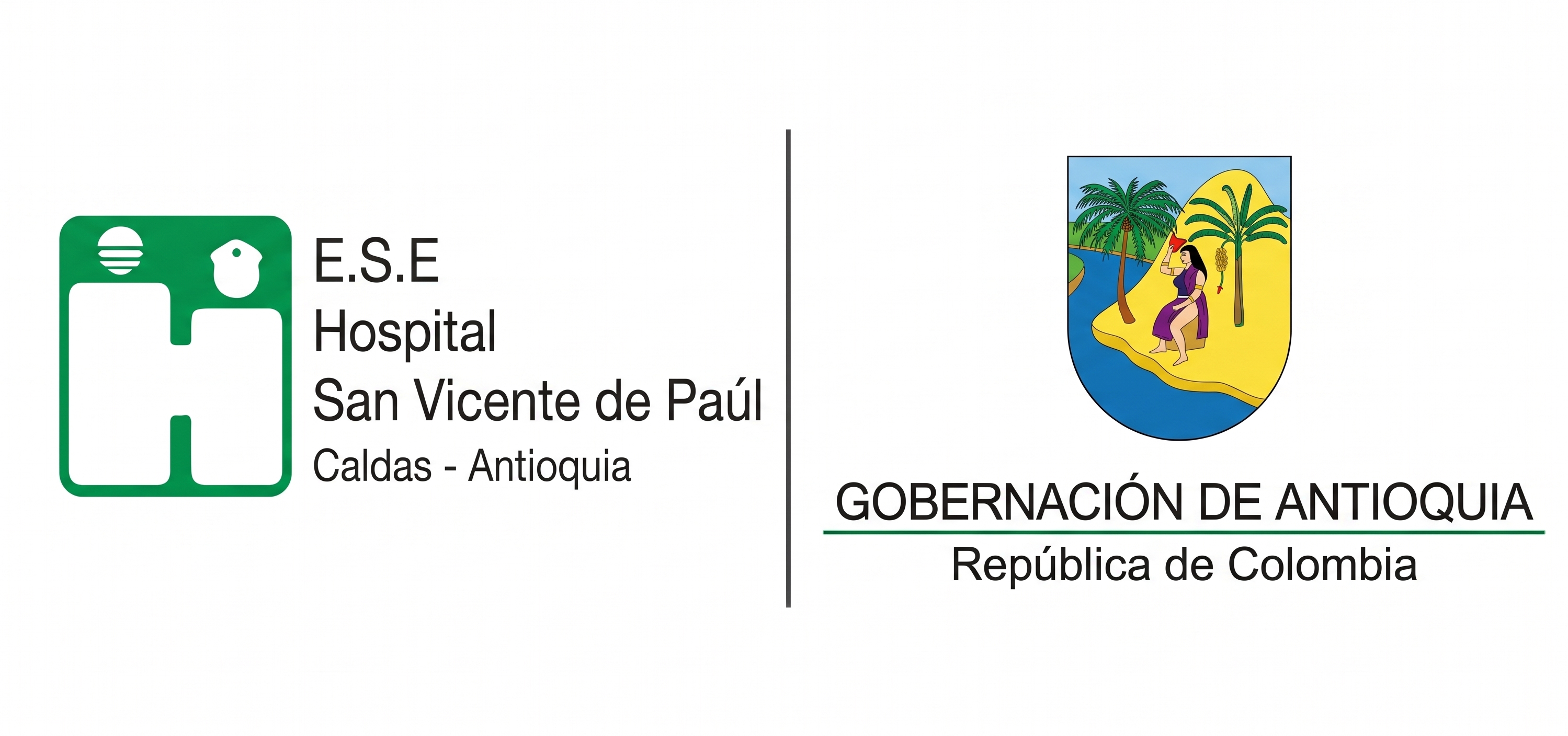 Logos Institucionales